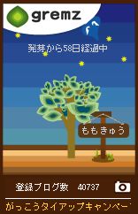みずのがっこうキャンペーンその17