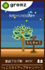 みずのがっこうキャンペーンその18