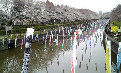 090404_125409_ed.jpg