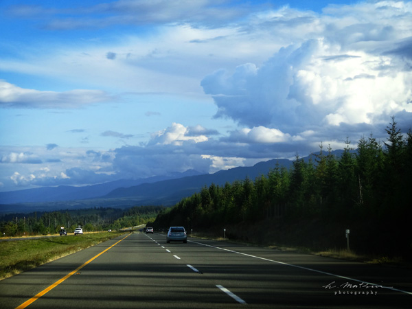 今さらスイッチロッド | ひぐらしフライ