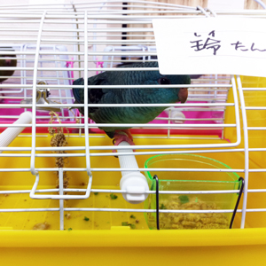 れいちゃん