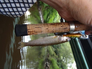 12cm
