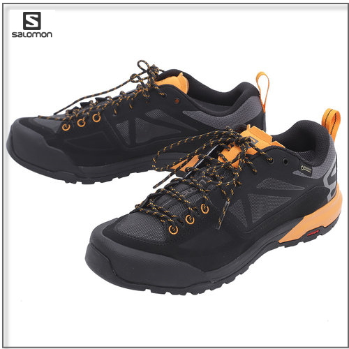 salomon x alp spry goretex