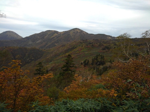 火打山紅葉軽快登山