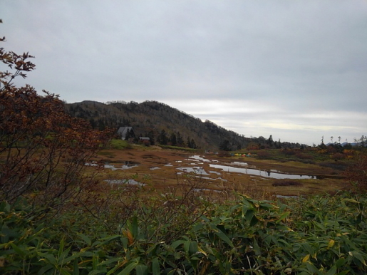 火打山紅葉軽快登山