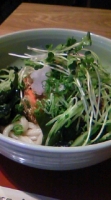 掻き揚げ冷やしうどん