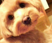 200904241843000.jpg
