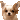 DIMG0166.GIF