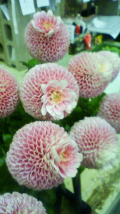 200910031608000.jpg