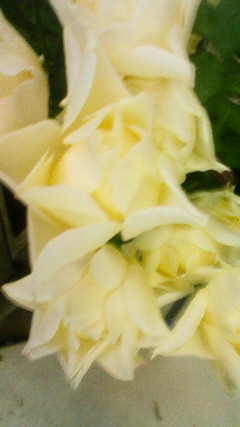 200910291449000.jpg