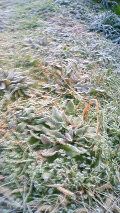 200912180702000.jpg