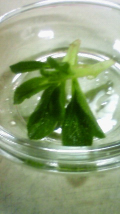 201001171937000.jpg