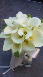 201002061435001.jpg
