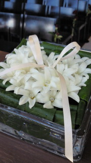 201002061510001.jpg