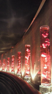 201002061558001.jpg