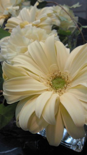 201002131338001.jpg