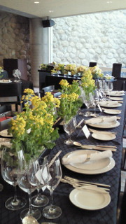 201003140925000.jpg
