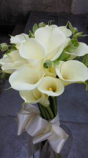 201003141400001.jpg