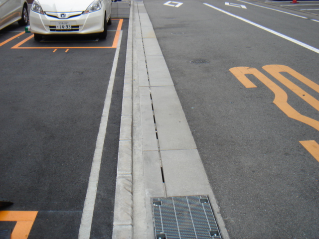 カーステップ設置後