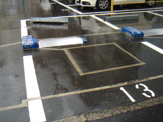 DSC08748.JPG
