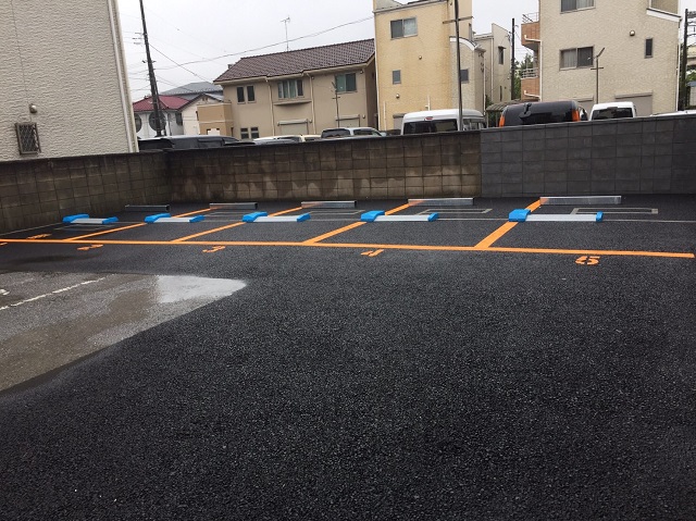 »°¼ù¥Ñ¡¼¥¥ó¥°°½À¥NO.1_4.JPG