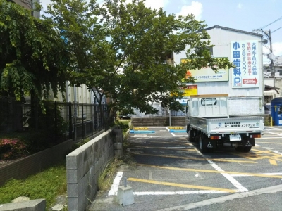 枝伐採前.JPG