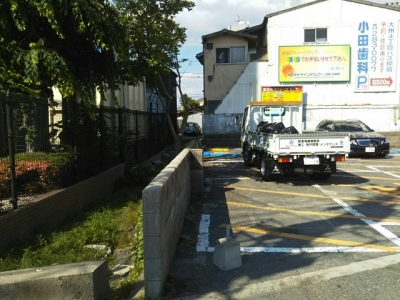 枝伐採後.JPG