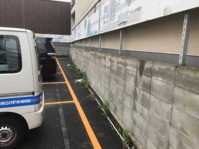草刈り (1).jpg