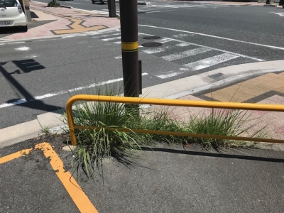 草刈り (1).jpg