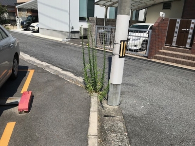 草刈り (3).jpg