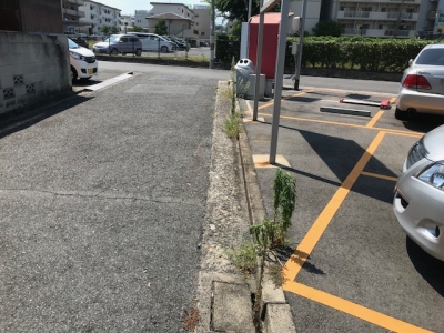 草刈り (4).jpg