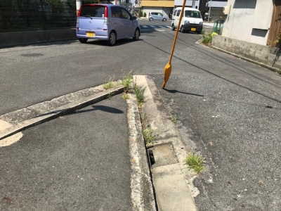 草刈り (5).jpg