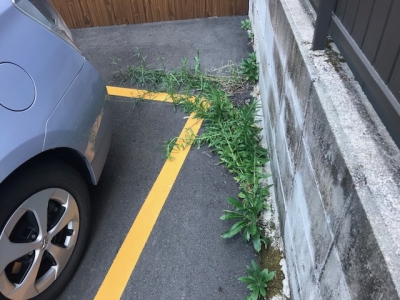 実施前?.jpg