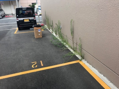 実施前?.jpg