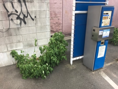 実施前?.jpg