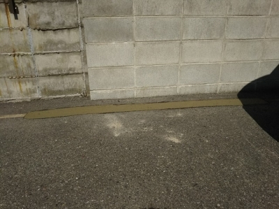 DSC_3228.JPG