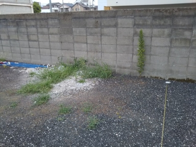 DSC_3557.JPG