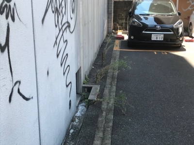 草刈り3.jpg