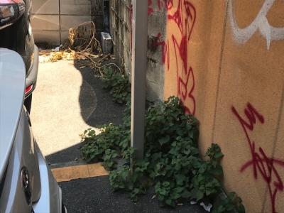 草刈り1.jpg