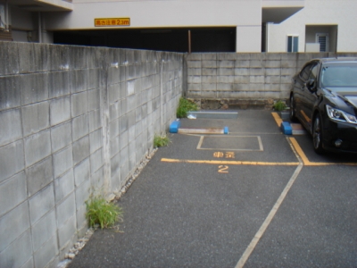DSC01160.JPG