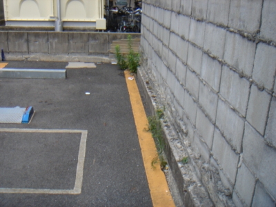 DSC01162.JPG
