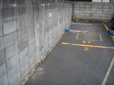 DSC01163.JPG