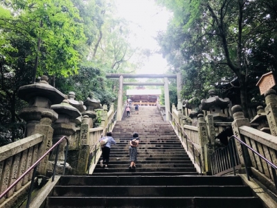 ?金毘羅6.jpg