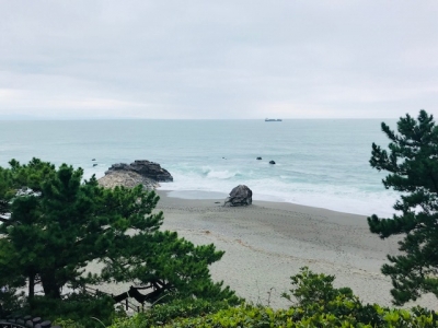 ?桂浜.jpg