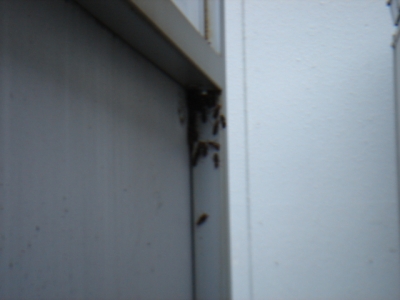 DSC01273.JPG