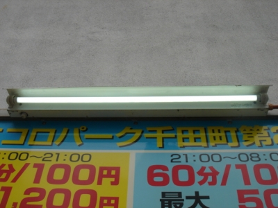 DSC01282.JPG