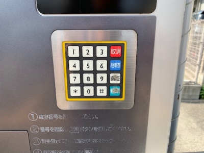¥Ü¥¿¥ó¥·¡¼¥ëÄ¥ÂØ¤¨1.jpg