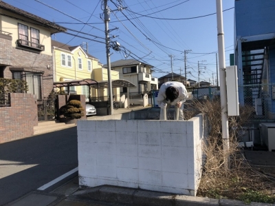 フェンス撤去・看板移設工事3.JPG