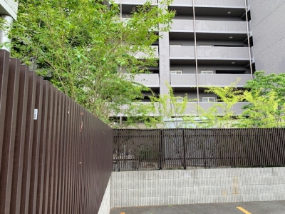 木の枝 (2).jpg