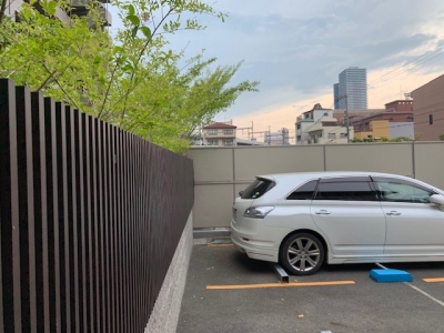 木の枝 (3).jpg